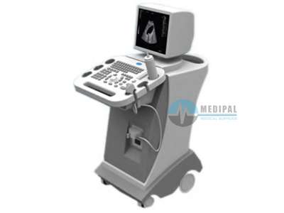 Color Doppler Ultrasound Vertu-3 Plus Video Printer